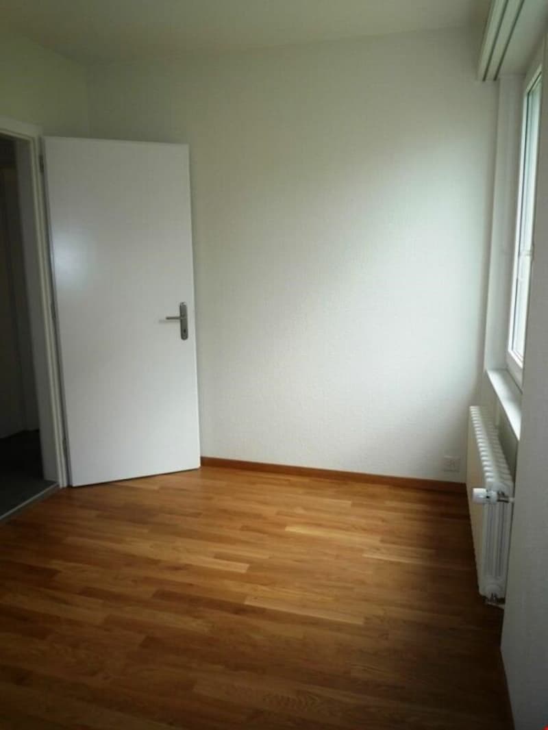 Bello appartamento di 3 locali con balcone! (2)