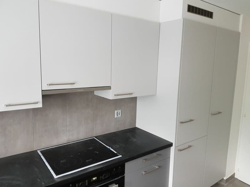 Bello appartamento di 4 locali completamente ristrutturato nel 2018 in un quartiere tranquillo! (2)