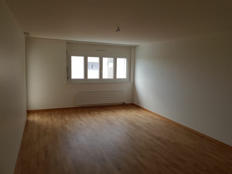 Bello appartamento di 4 locali completamente ristrutturato nel 2018 in un quartiere tranquillo! (3)