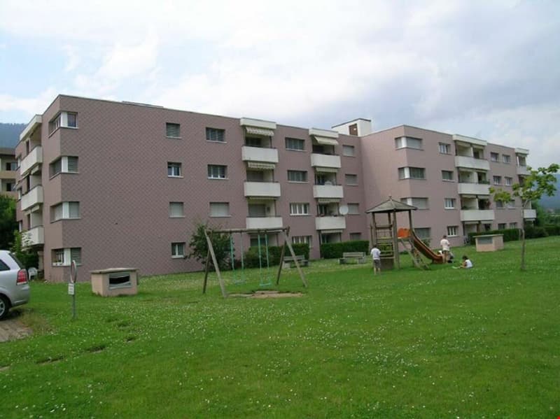 Bello appartamento di 4 locali completamente ristrutturato nel 2018 in un quartiere tranquillo! (8)