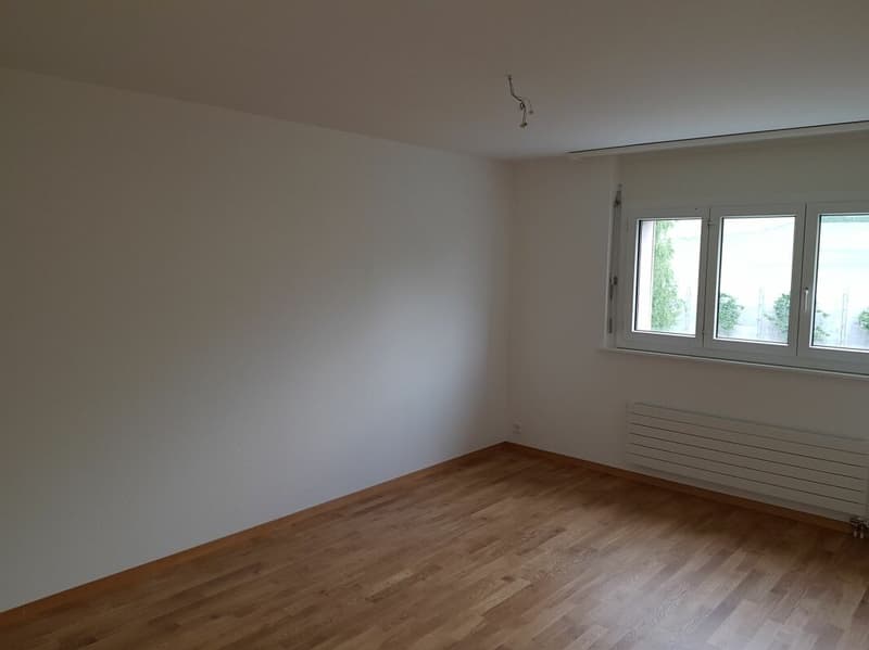 Bello appartamento di 4 locali completamente ristrutturato nel 2018 in un quartiere tranquillo! (4)