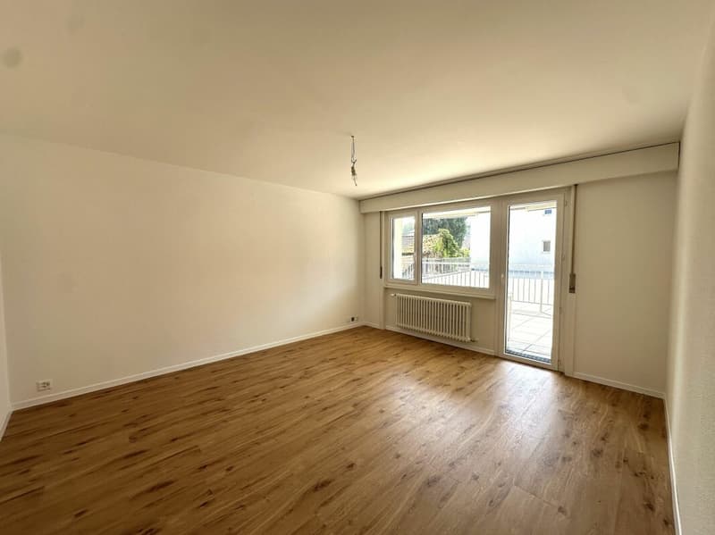 Bello appartamento di 3.5 locali completamente ristrutturato vicino a tutte le comodità! (7)