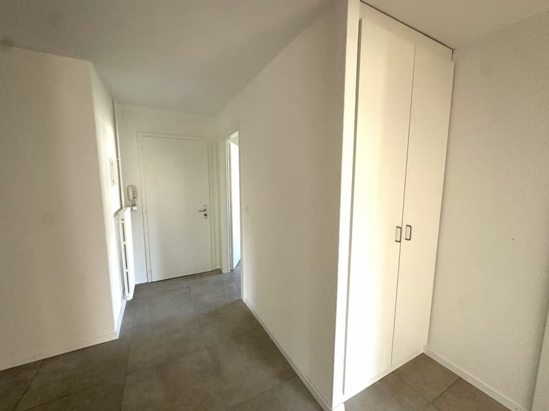 Bello appartamento di 3.5 locali completamente ristrutturato vicino a tutte le comodità! (5)