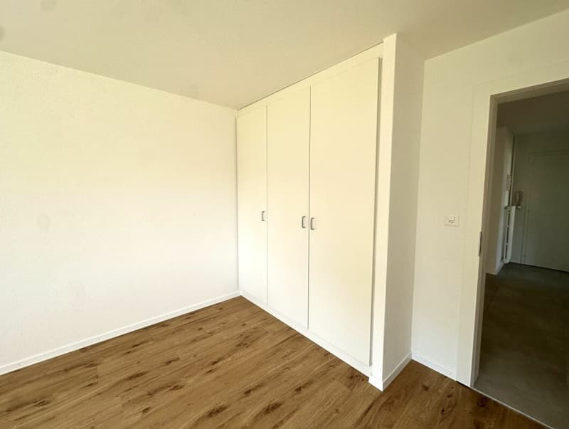 Bello appartamento di 3.5 locali completamente ristrutturato vicino a tutte le comodità! (2)