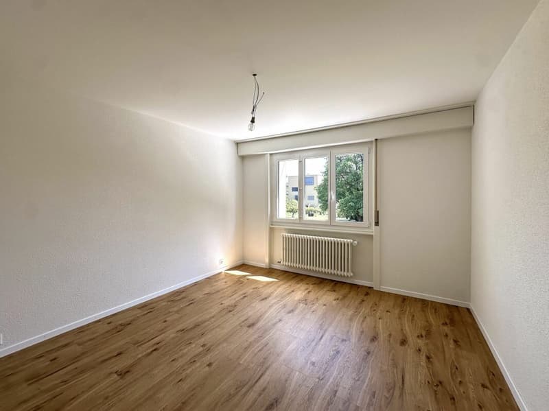 Bello appartamento di 3.5 locali completamente ristrutturato vicino a tutte le comodità! (6)