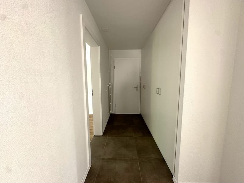 Bel appartement de 4.5 pièces entièrement rénové dans quartier calme ! (10)