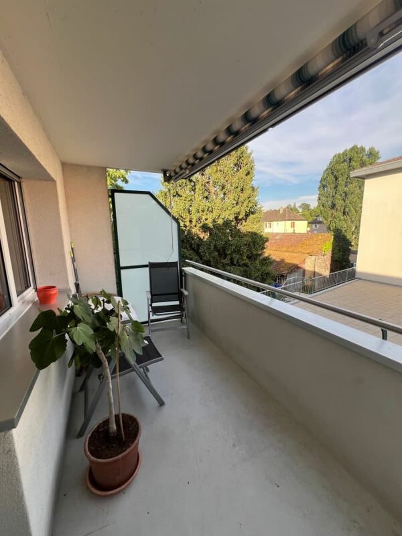 Schönes 3.5-Zimmer-Apartment renoviert nahe allen Annehmlichkeiten! (8)
