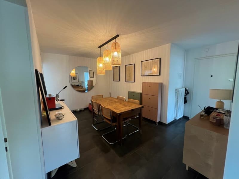 Schönes 3.5-Zimmer-Apartment renoviert nahe allen Annehmlichkeiten! (4)