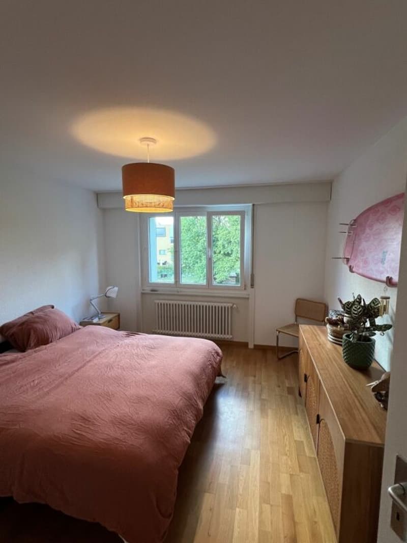 Schönes 3.5-Zimmer-Apartment renoviert nahe allen Annehmlichkeiten! (6)