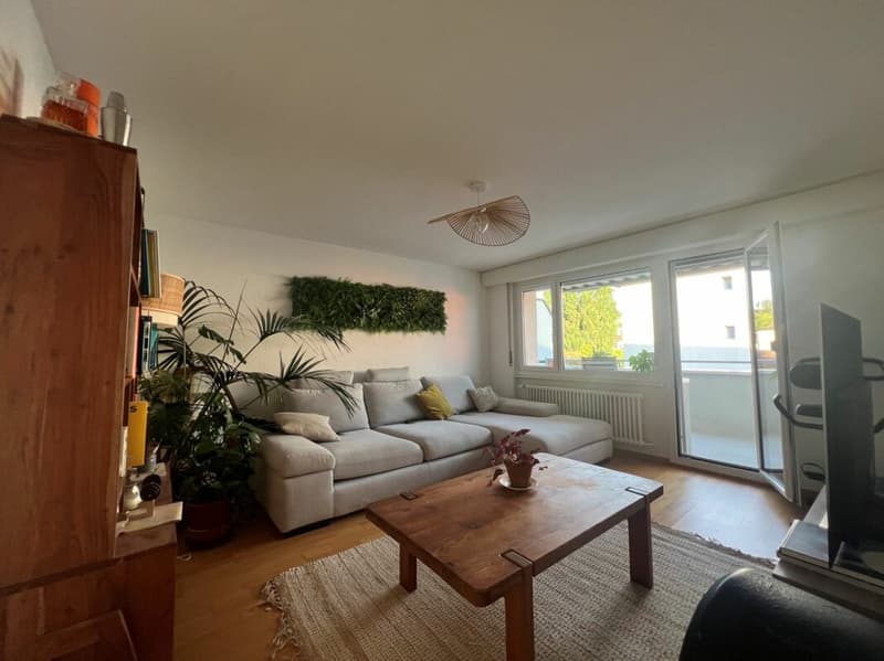 Schönes 3.5-Zimmer-Apartment renoviert nahe allen Annehmlichkeiten! (2)
