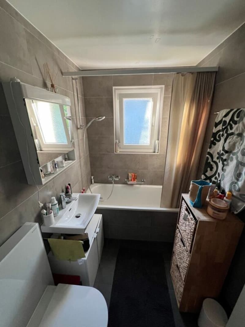 Schönes 3.5-Zimmer-Apartment renoviert nahe allen Annehmlichkeiten! (7)