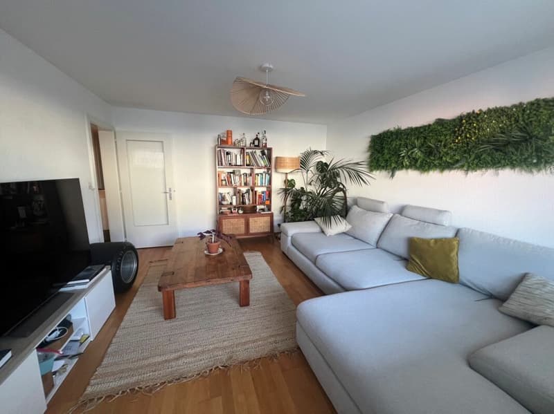 Schönes 3.5-Zimmer-Apartment renoviert nahe allen Annehmlichkeiten! (3)
