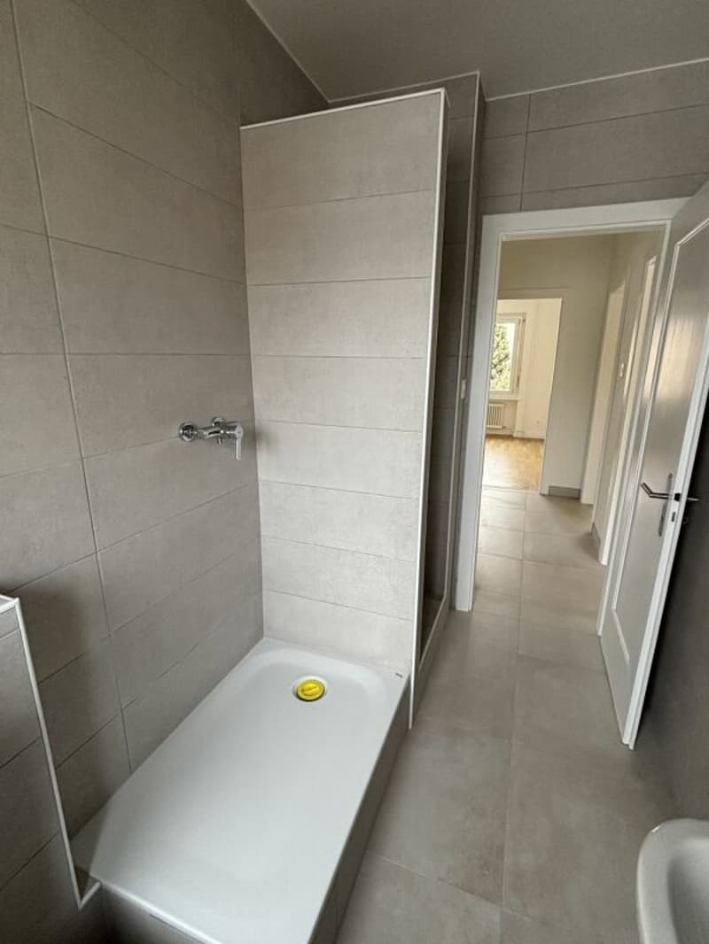 3-room apartment completely renovated with balcony (6)