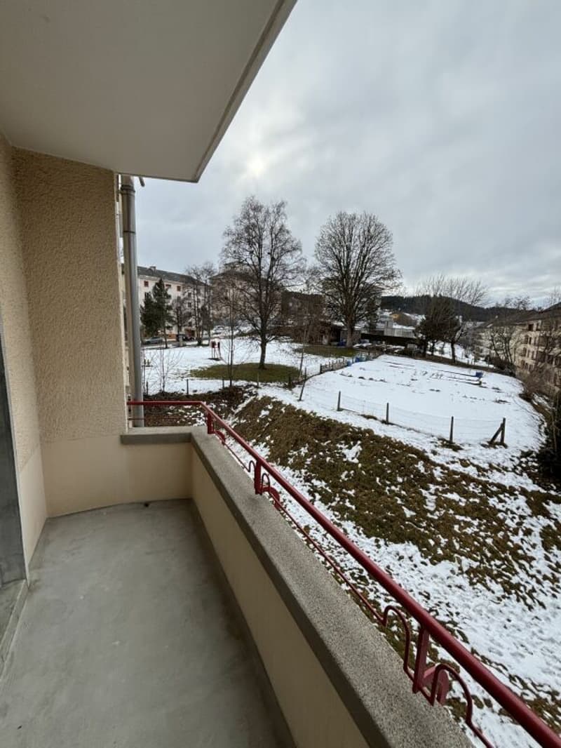 3-room apartment completely renovated with balcony (7)