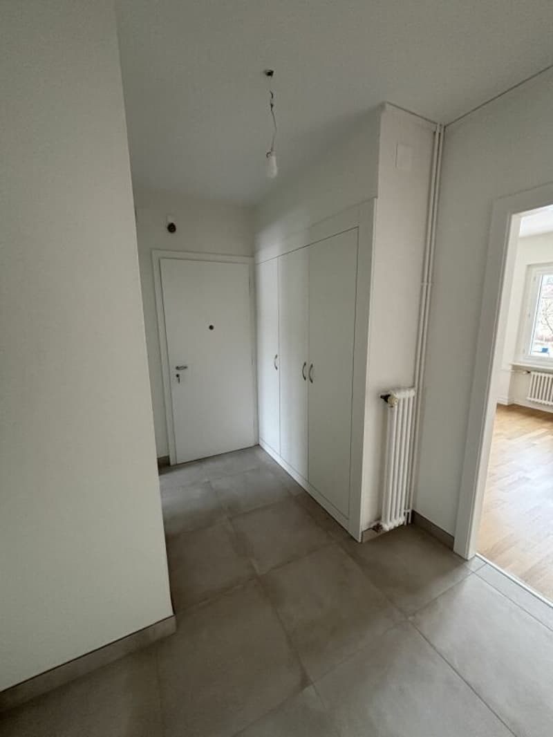 3-room apartment completely renovated with balcony (2)