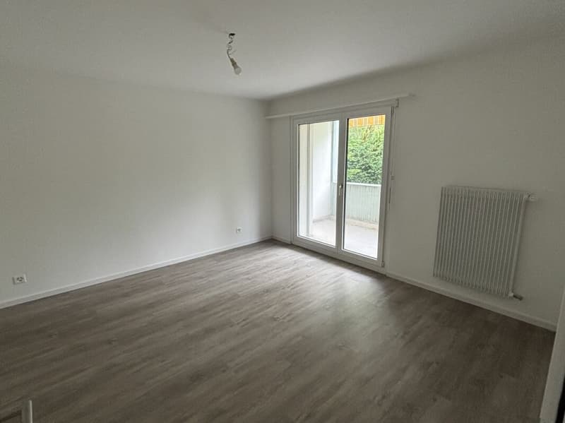 Renovated 3-room apartment with balcony! (5)