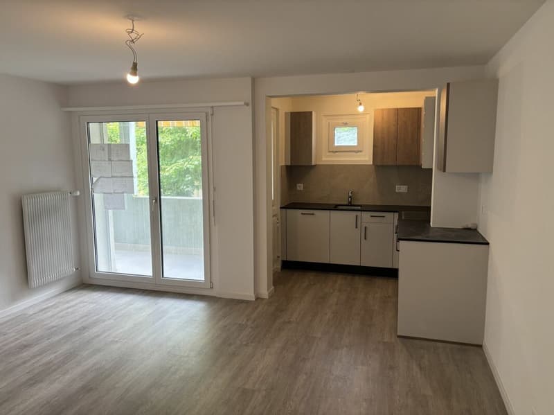 Renovated 3-room apartment with balcony! (2)