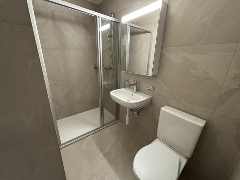 Renovated 3-room apartment with balcony! (6)