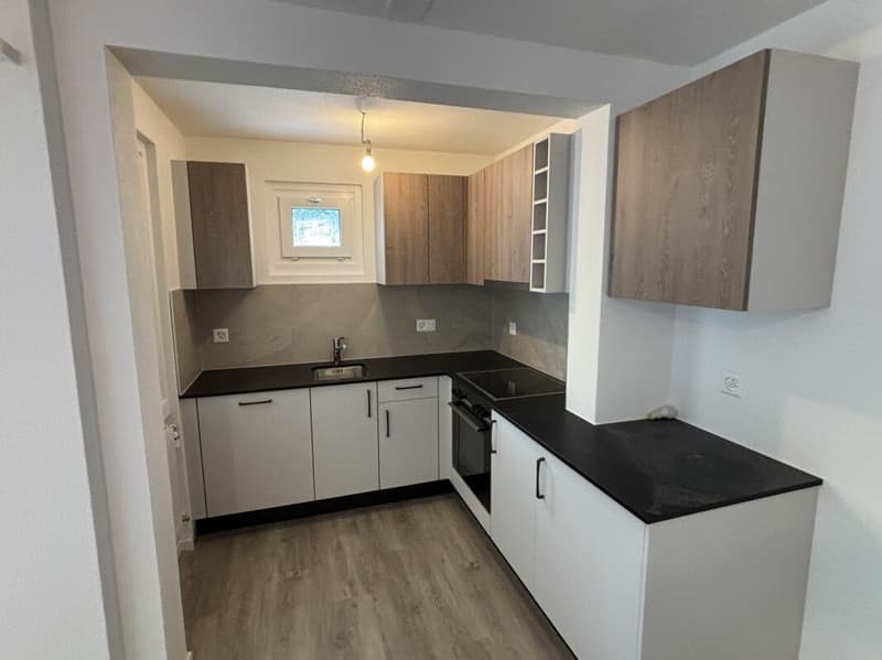 Renovated 3-room apartment with balcony! (1)