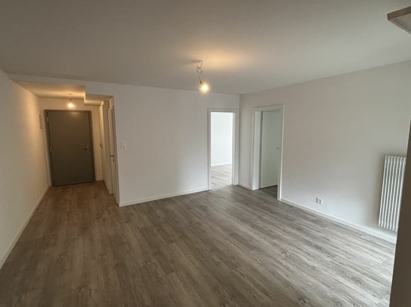 Renovated 3-room apartment with balcony! (3)