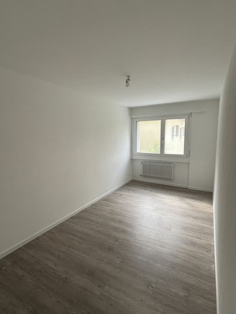Renovated 3-room apartment with balcony! (4)