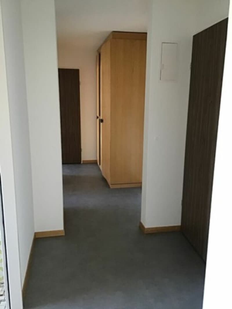 Apartment located in the city center, close to amenities. (4)