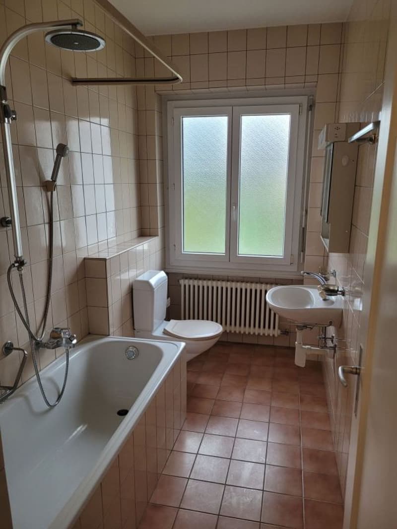 Three-room apartment with balcony (5)