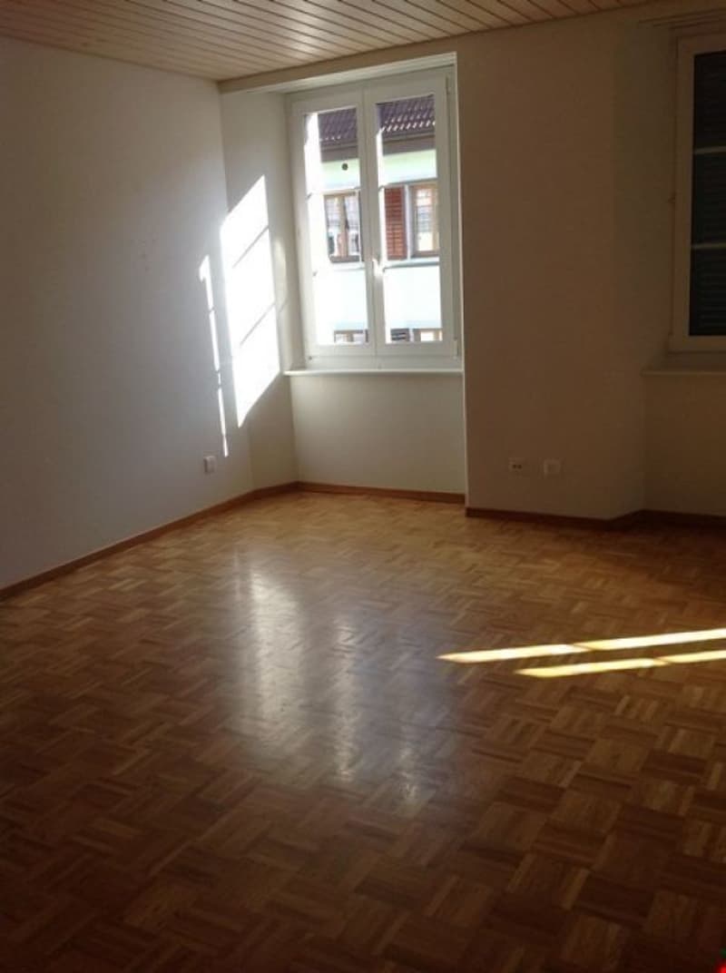 Spacious apartment in the city center (3)