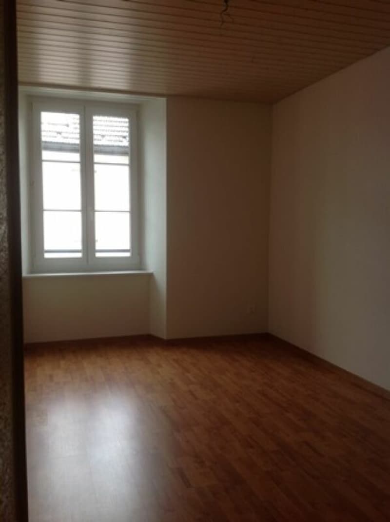 Spacious apartment in the city center (4)
