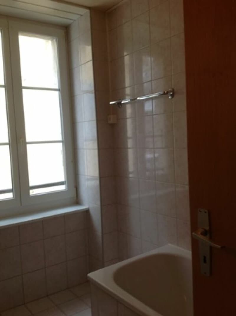 Spacious apartment in the city center (5)