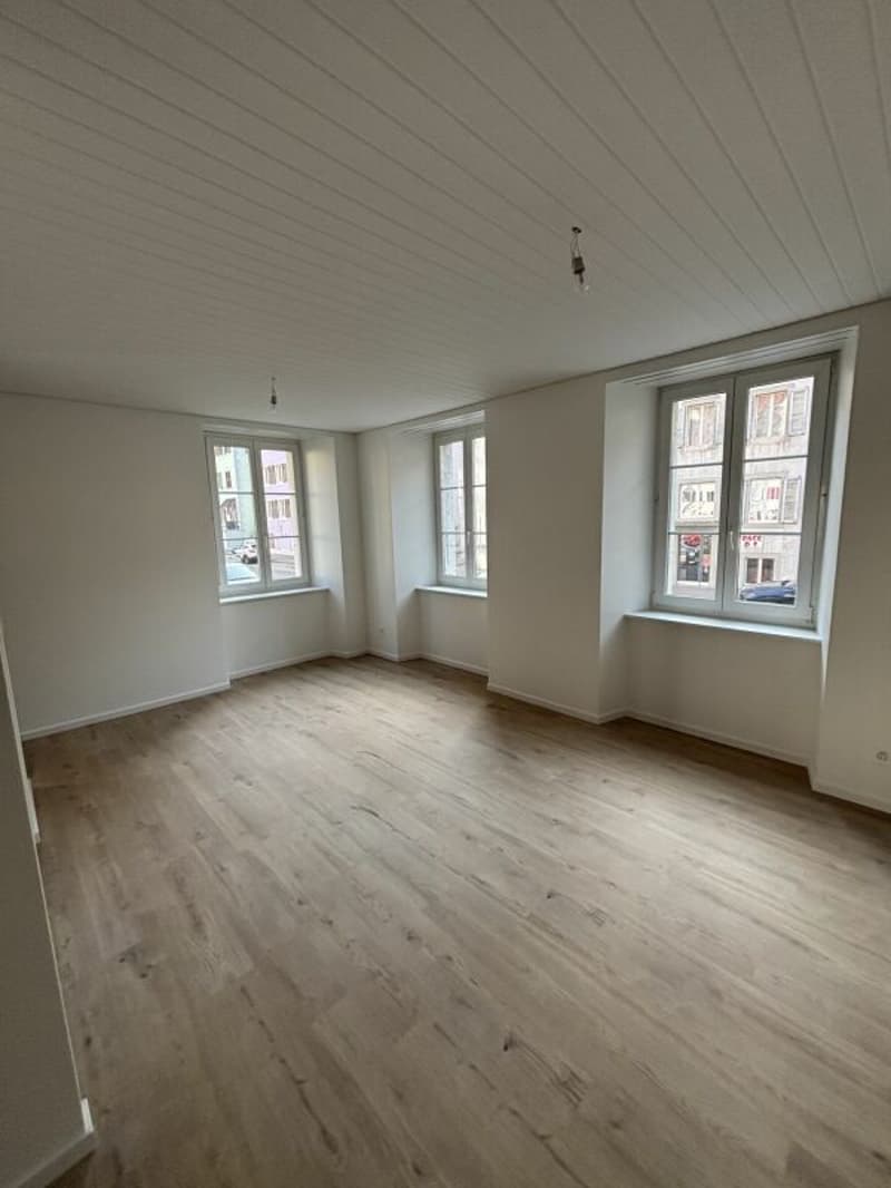 Small renovated apartment in the city center (1)