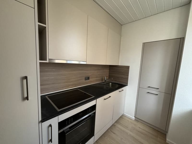 Small renovated apartment in the city center (4)