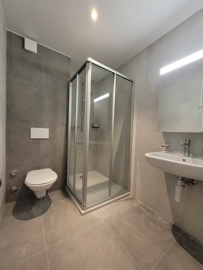 Appartement de 3 pièces entièrement rénové. (5)