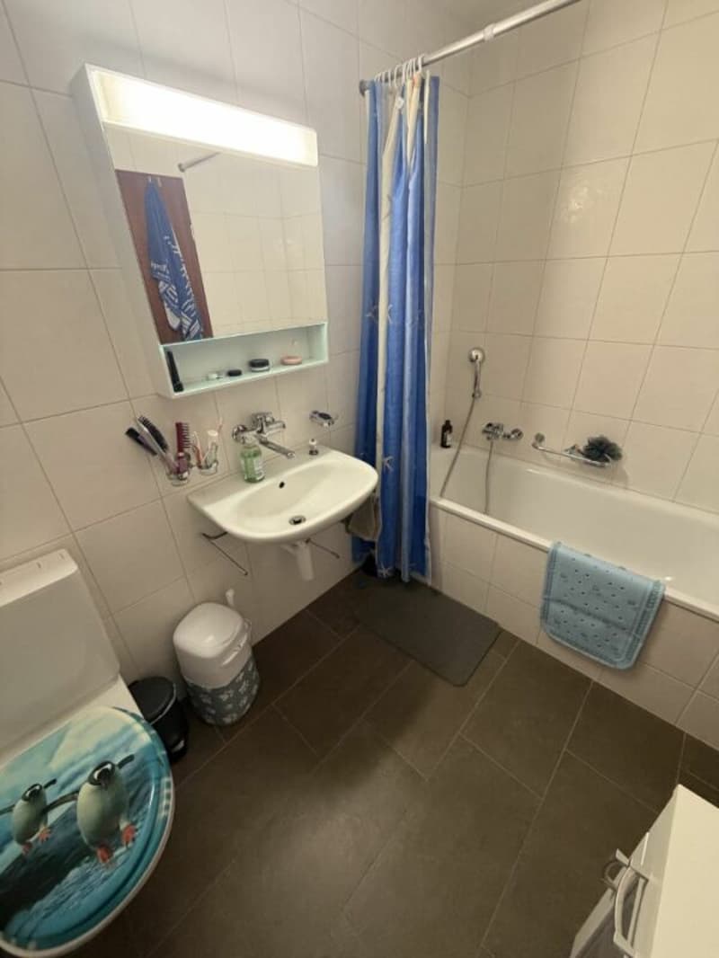 Appartement de 2.5 pièces dans quartier calme (6)