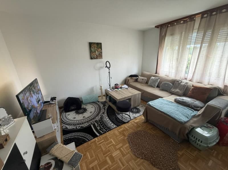 Appartement de 2.5 pièces dans quartier calme (2)