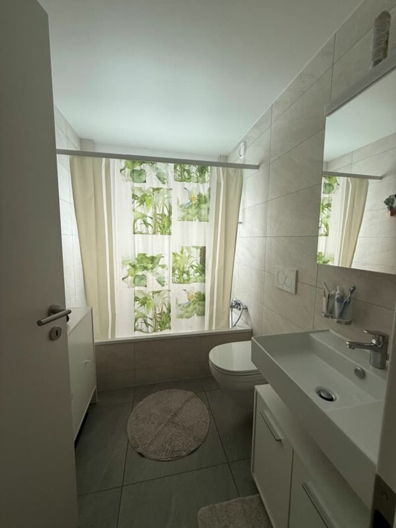 Wohnung mit 3.5 Zimmern (3)