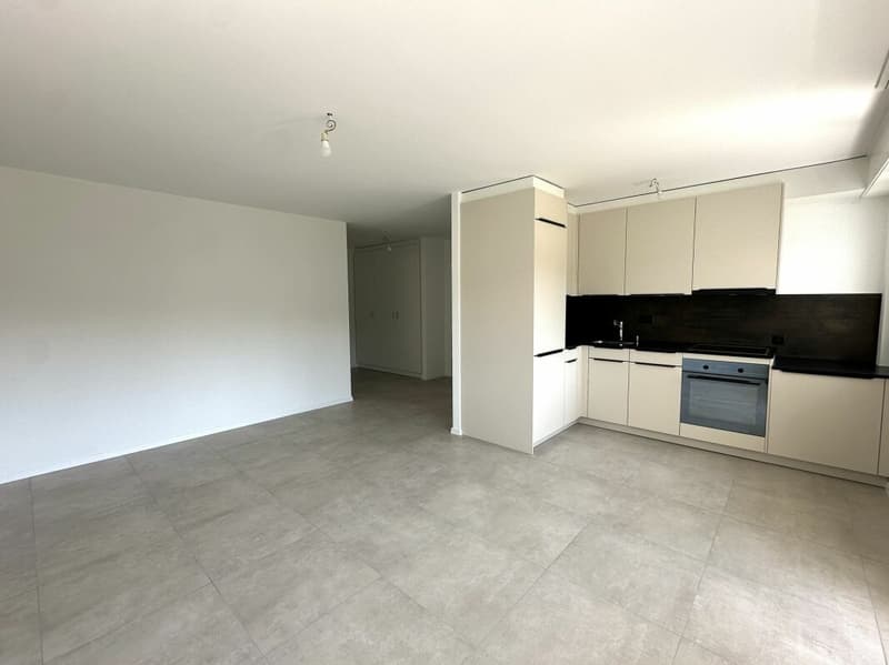 Bellissimo appartamento di 2 camere completamente ristrutturato! (2)