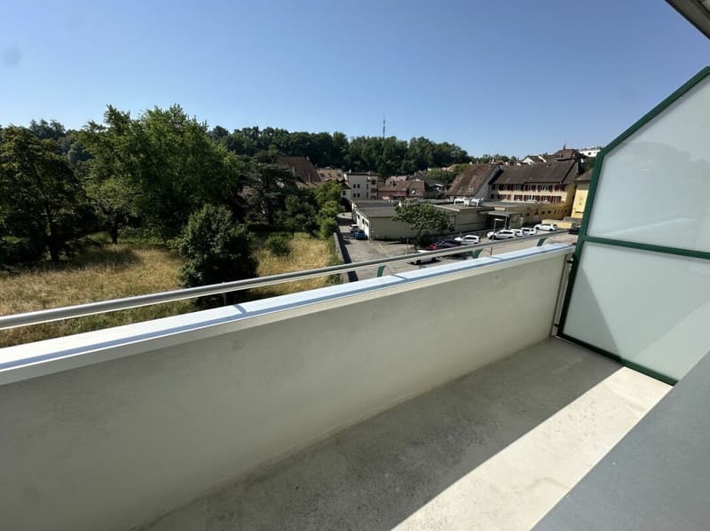 Bellissimo appartamento di 2 camere completamente ristrutturato! (6)