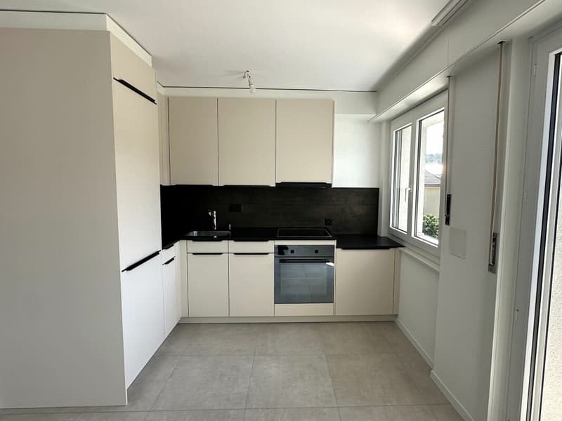 Bellissimo appartamento di 2 camere completamente ristrutturato! (1)