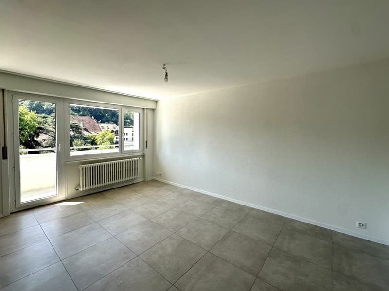 Bellissimo appartamento di 2 camere completamente ristrutturato! (3)