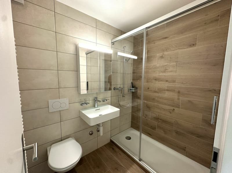 Bellissimo appartamento di 2 camere completamente ristrutturato! (5)