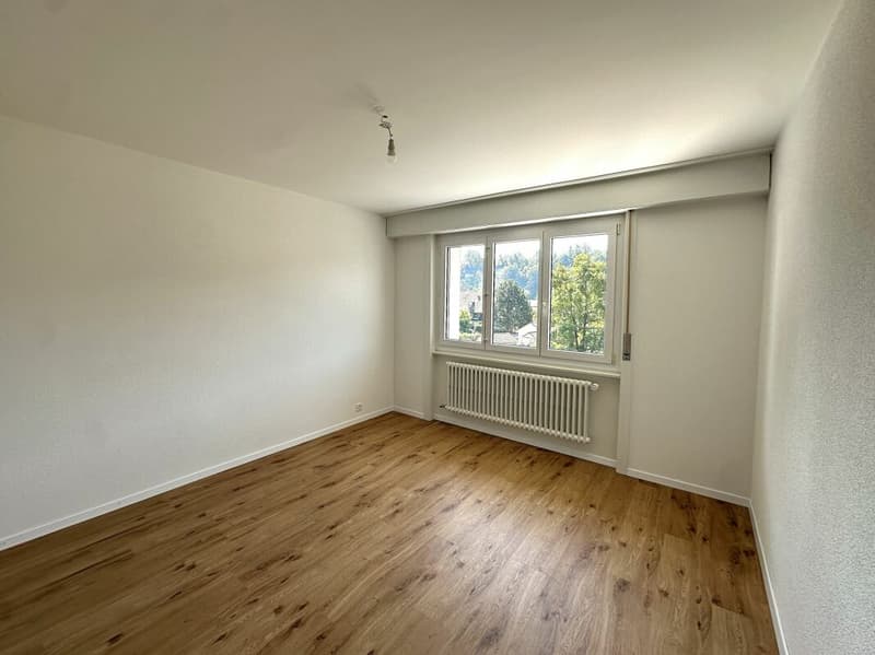 Bellissimo appartamento di 2 camere completamente ristrutturato! (4)