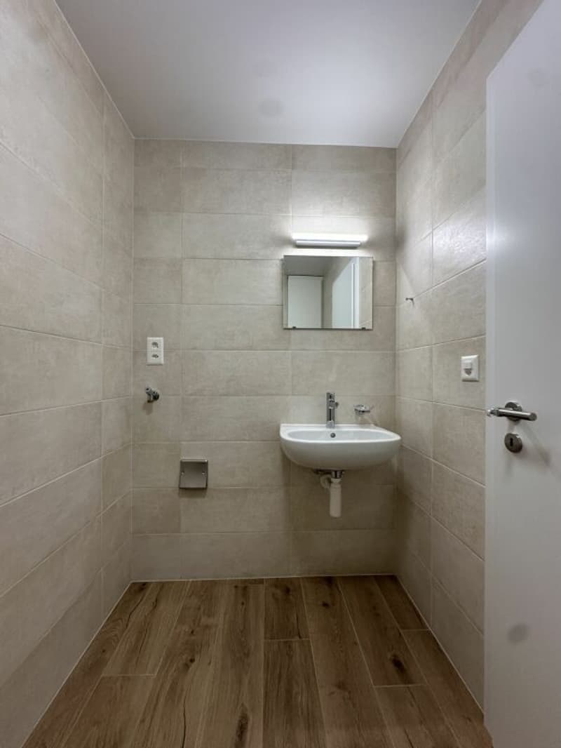 Bellissimo appartamento di 4.5 locali completamente ristrutturato! (8)