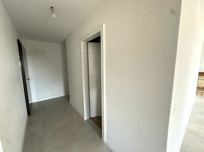 Bellissimo appartamento di 4.5 locali completamente ristrutturato! (10)