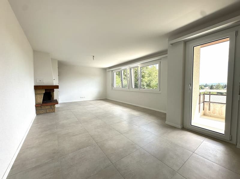 Bellissimo appartamento di 4.5 locali completamente ristrutturato! (3)