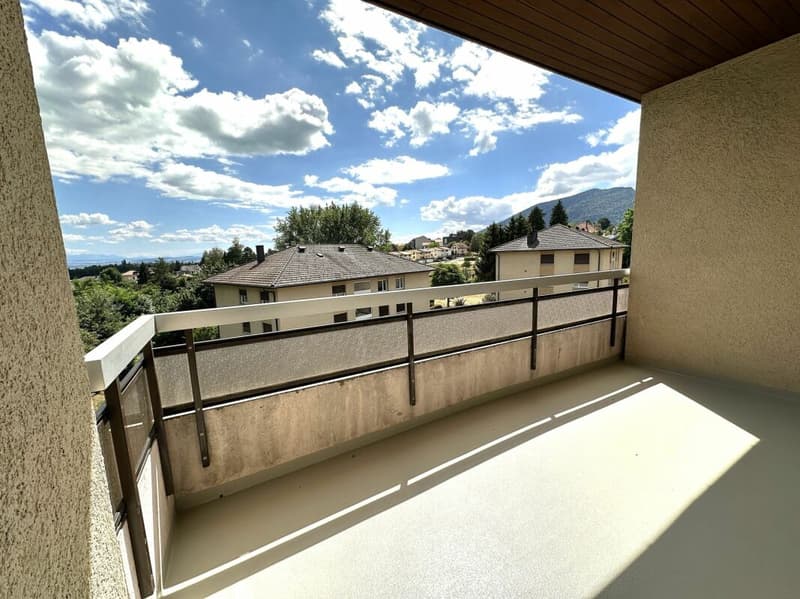 Bellissimo appartamento di 4.5 locali completamente ristrutturato! (11)