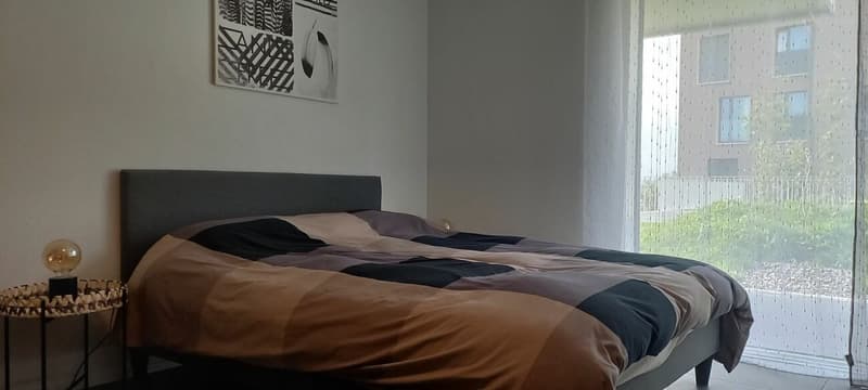 Beautiful studio on the ground floor with terrace (8)