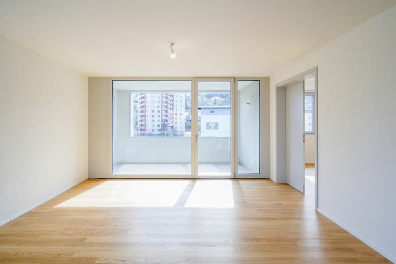 Very beautiful 3.5-room apartment, completely new with balcony-loggia (5)