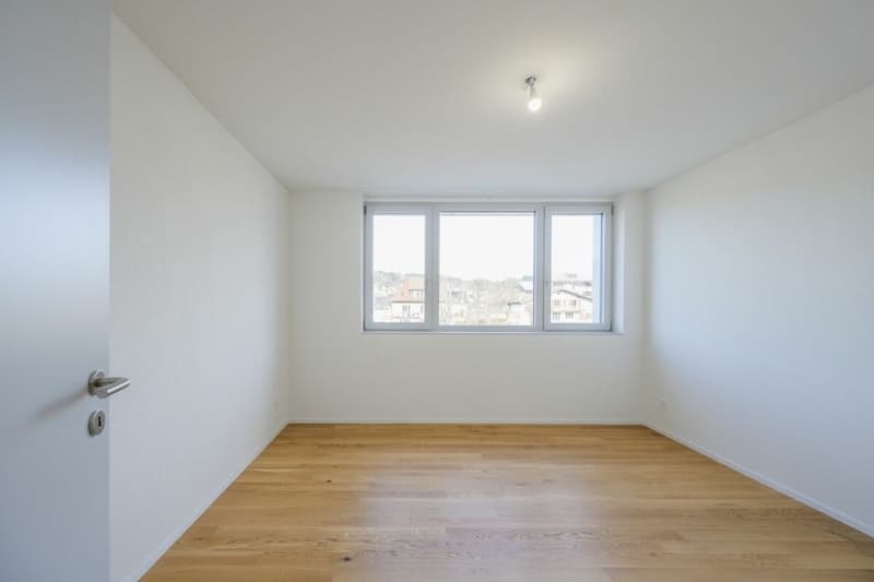 Very beautiful 3.5-room apartment, completely new with balcony-loggia (6)
