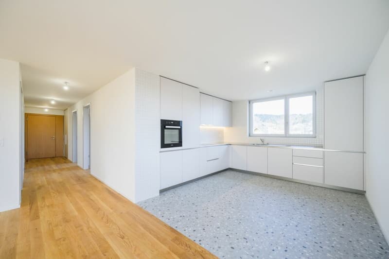 Very beautiful 3.5-room apartment, completely new with balcony-loggia (2)